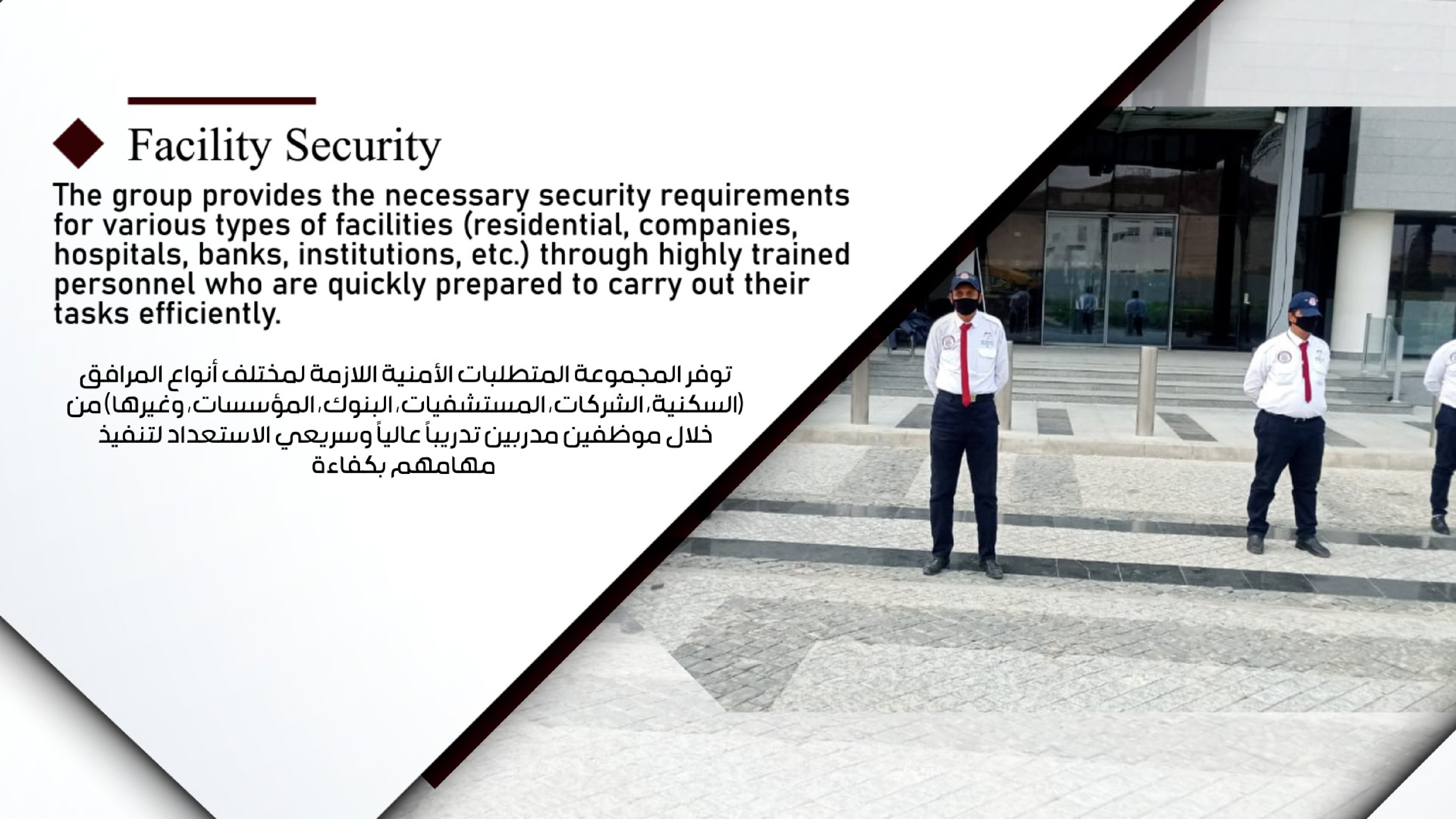PRO GUARD 85 - Slide 3